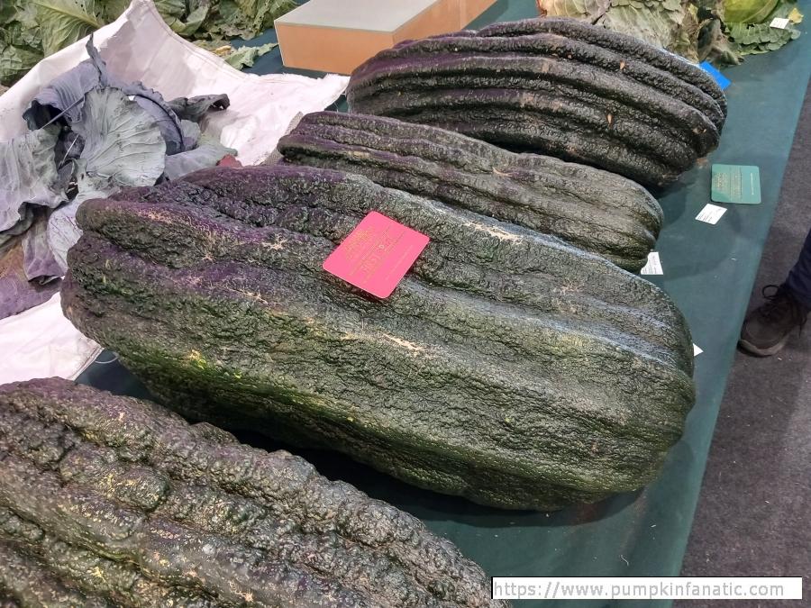 fruitImages/237.2 Baggs 2024B.jpg